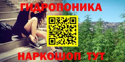 сатива Северобайкальск
