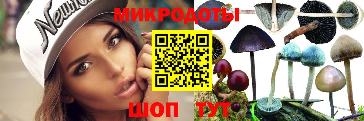 Галлюциногенные грибы Magic Shrooms  купить  цена  Азнакаево  Вход с VPN 